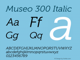 Museo 300