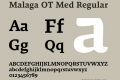 Malaga OT Med