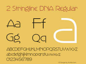 2 Stringline DNA