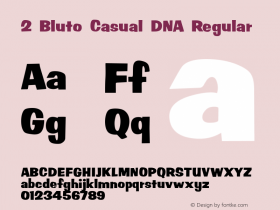 2 Bluto Casual DNA