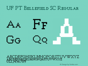 UF PT Bellefield SC
