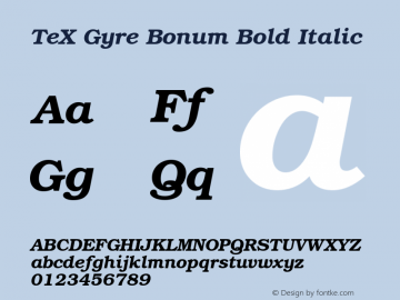 TeX Gyre Bonum