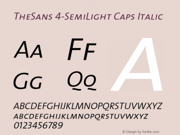 TheSans 4-SemiLight Caps