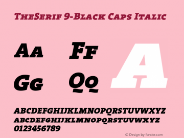 TheSerif 9-Black Caps