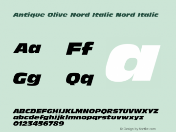 Antique Olive Nord Italic