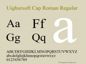 Uighursoft Cap Roman