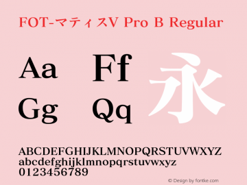 FOT-マティスV Pro B