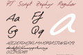 PT Script Zephyr