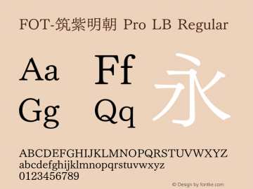 FOT-筑紫明朝 Pro LB