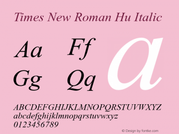 Times New Roman Hu