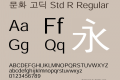 문화 고딕 Std R