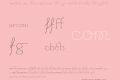 Chic Hand Ligatures