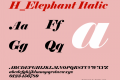 H_Elephant