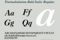 Tintinabulation Bold Italic