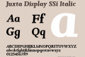 Juxta Display SSi