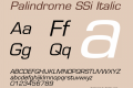 Palindrome SSi