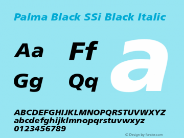 Palma Black SSi