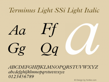 Terminus Light SSi