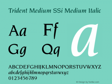 Trident Medium SSi