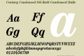 Century Condensed SSi