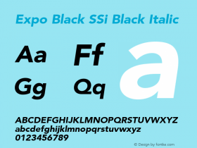 Expo Black SSi