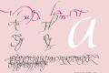 Valeria Script One