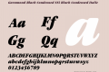 Garamond Black Condensed SSi