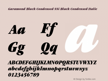 Garamond Black Condensed SSi