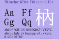 TMincho-GT04
