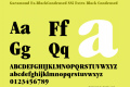 Garamond Ex-BlackCondensed SSi