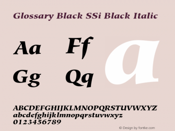 Glossary Black SSi