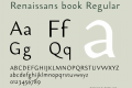 Renaissans book