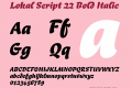 Lokal Script 22