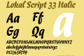 Lokal Script 33