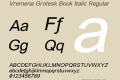 Vremena Grotesk Book Italic