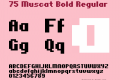 75 Muscat Bold