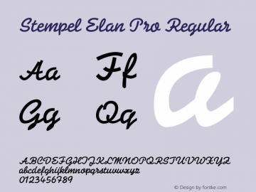 Stempel Elan Pro