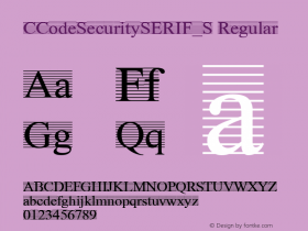 CCodeSecuritySERIF_S