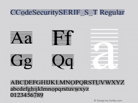 CCodeSecuritySERIF_S_T