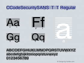 CCodeSecuritySANS_T_T