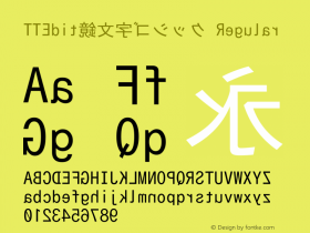 TTEdit鏡文字ゴシック