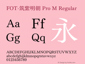 FOT-筑紫明朝 Pro M