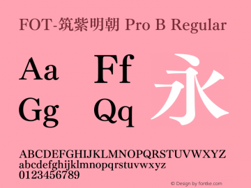 FOT-筑紫明朝 Pro B