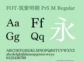 FOT-筑紫明朝 Pr5 M