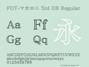 FOT-マカロニ Std DB
