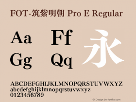 FOT-筑紫明朝 Pro E