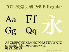 FOT-筑紫明朝 Pr5 B