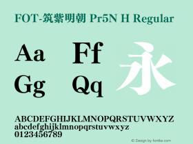 FOT-筑紫明朝 Pr5N H