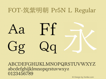 FOT-筑紫明朝 Pr5N L