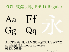 FOT-筑紫明朝 Pr5 D